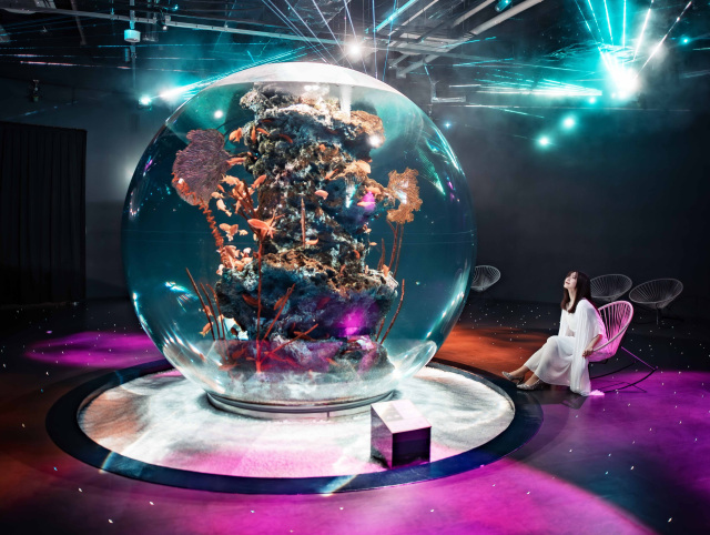 透過五感來享受的藝術水族館・átoa包場晚宴