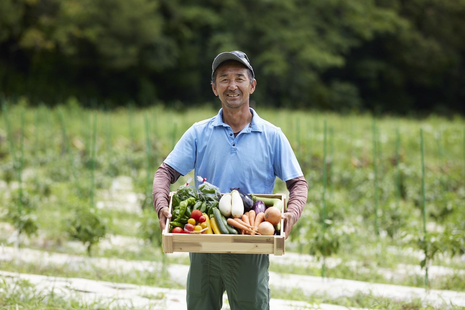 Agriculture for Living in the Natural Cycle