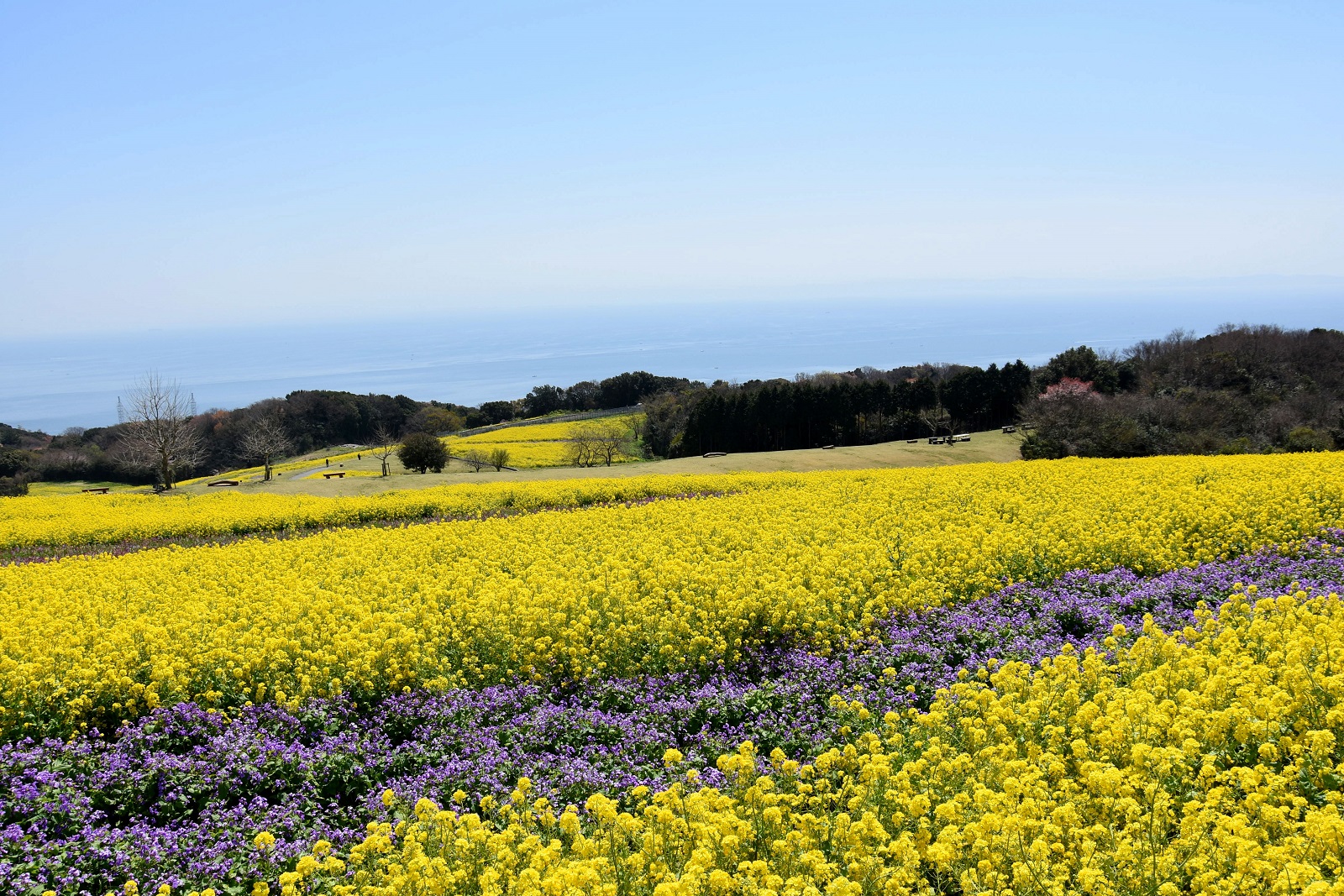 淡路島花と自然 モデルコース 兵庫県公式観光サイト Hyogo ナビ ひょうごツーリズムガイド