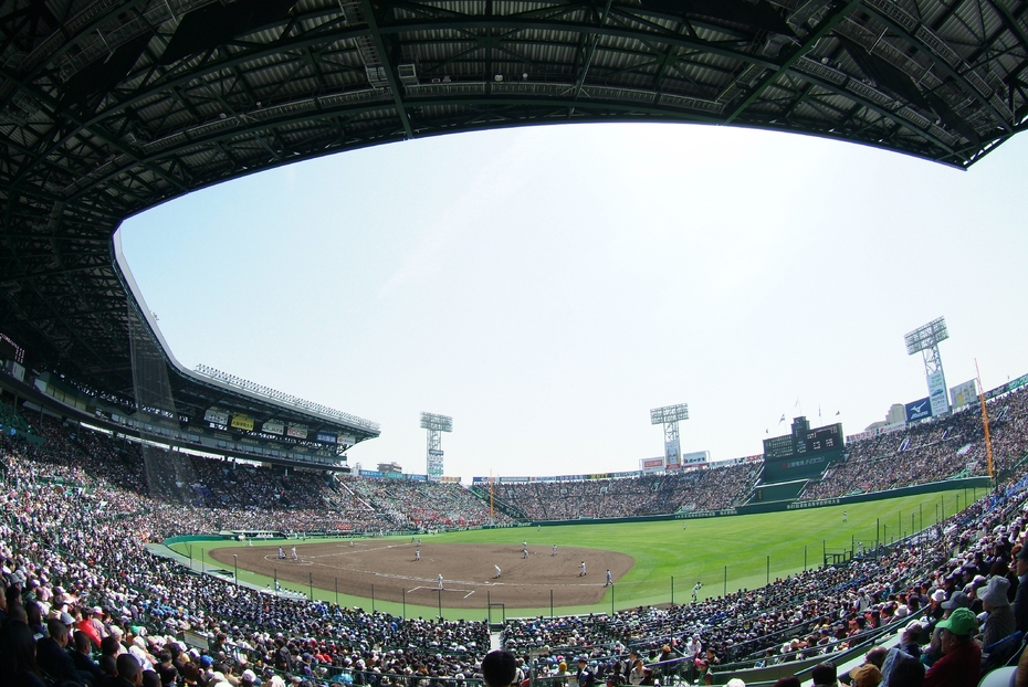 半額 甲子園球場