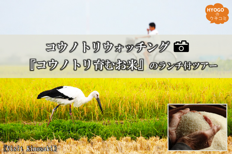 Tour with lunch for stork Watching "Stork Raising Rice" [Visit Kinosaki]