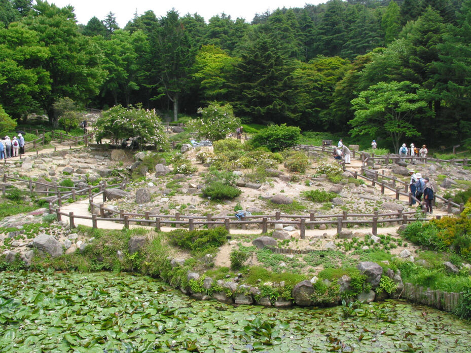 六甲高山植物園 | 観光スポット | 【公式】兵庫県観光サイト