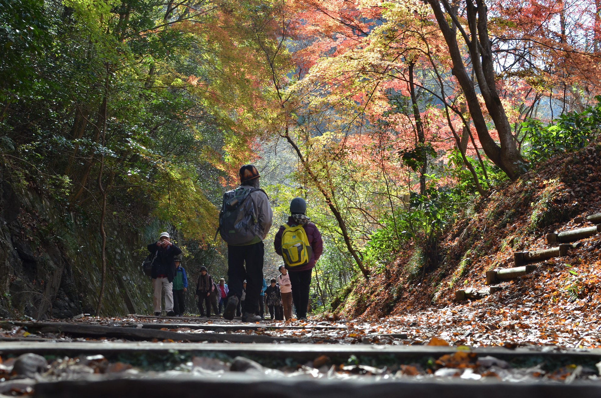 福知山線廃線敷 観光スポット 兵庫県公式観光サイト Hyogo ナビ ひょうごツーリズムガイド