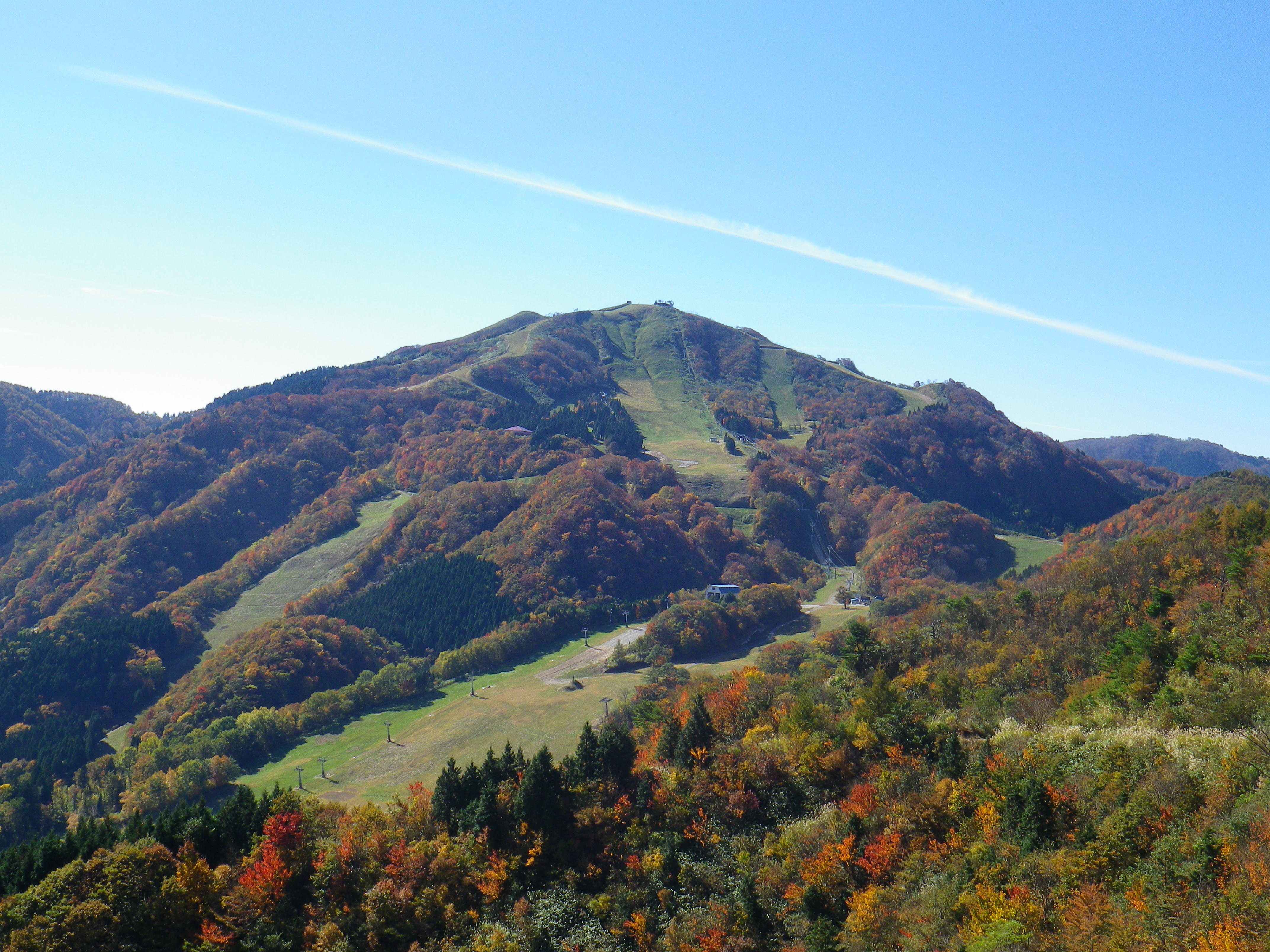 ハチ北高原 観光スポット 兵庫県公式観光サイト Hyogo ナビ ひょうごツーリズムガイド