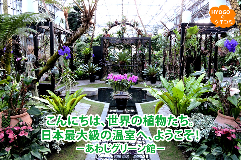 こんにちは、世界の植物たち。日本最大級の温室へ、ようこそ！－あわじグリーン館－