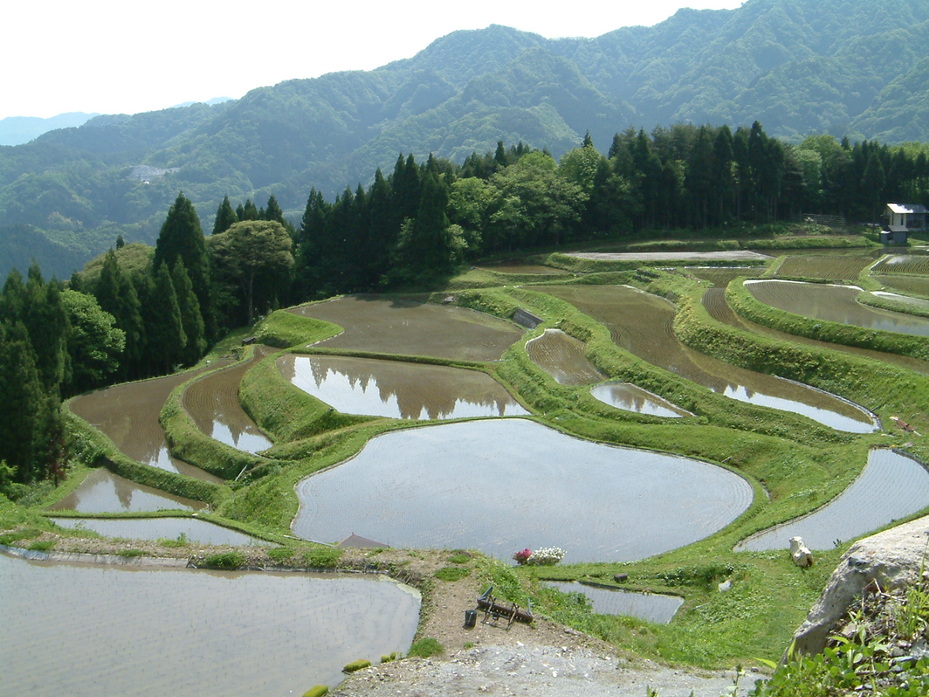 うへ山の棚田 観光スポット 兵庫県公式観光サイト Hyogo ナビ ひょうごツーリズムガイド