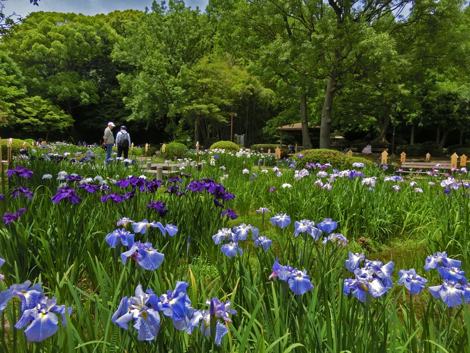 神戸市立須磨離宮公園 観光スポット 兵庫県公式観光サイト Hyogo ナビ ひょうごツーリズムガイド