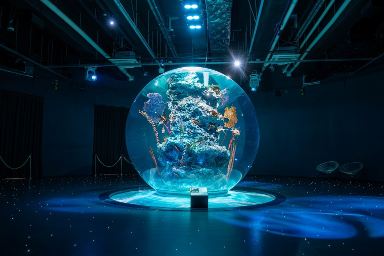 Experiencing in Kobe, an artistic port town. “átoa”, a unique fusion of aquarium and art 