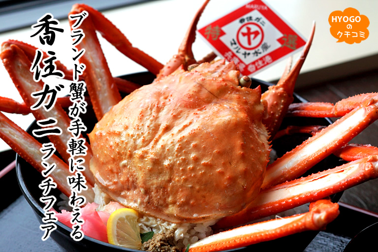 Lunch fair for Kasumi crabs that you can easily enjoy brand crabs