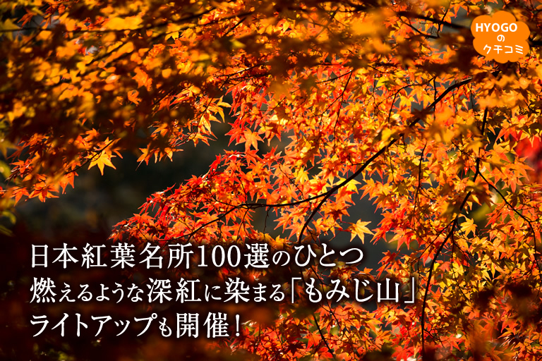 日本紅葉名所100選のひとつ。燃えるような深紅に染まる最上山公園