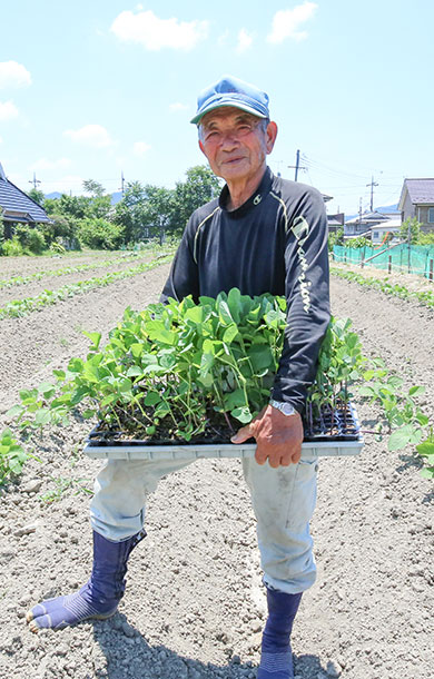 300年にわたる食文化を次世代につなぐ「丹波黒」栽培