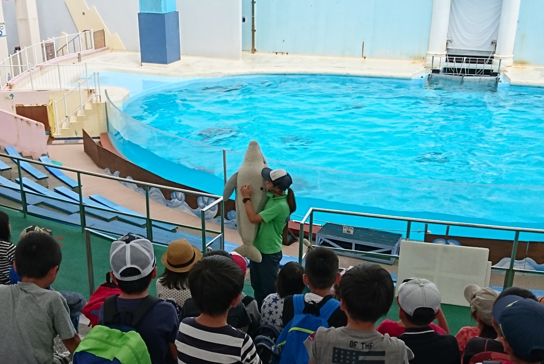 すま水生きものスクール 神戸市立須磨海浜水族園 観光スポット 兵庫県公式観光サイト Hyogo ナビ ひょうごツーリズムガイド