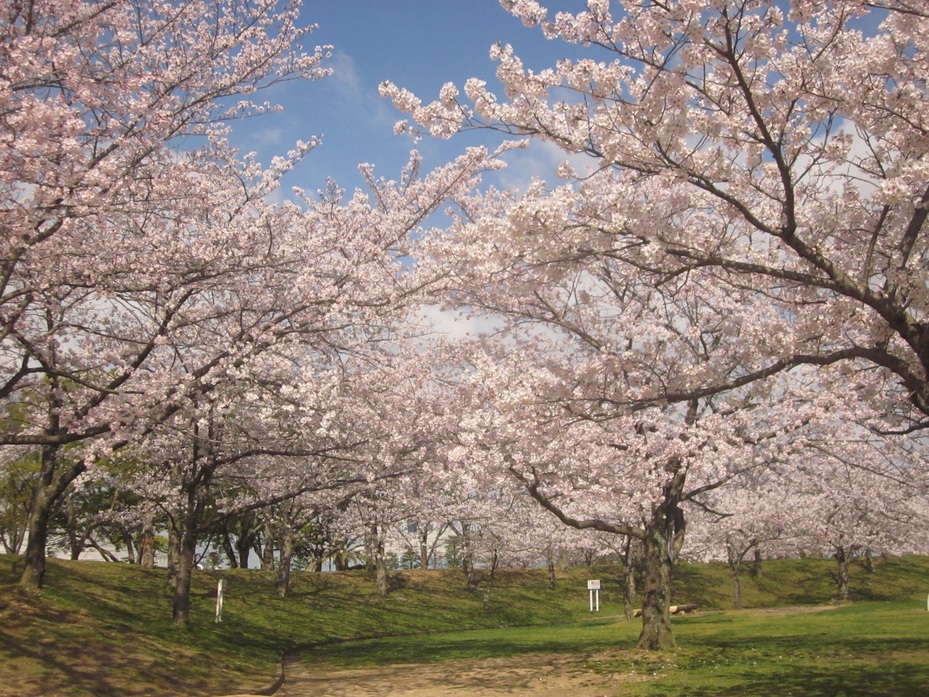 石ケ谷公園  観光スポット  兵庫県公式観光サイト HYOGO!ナビ 