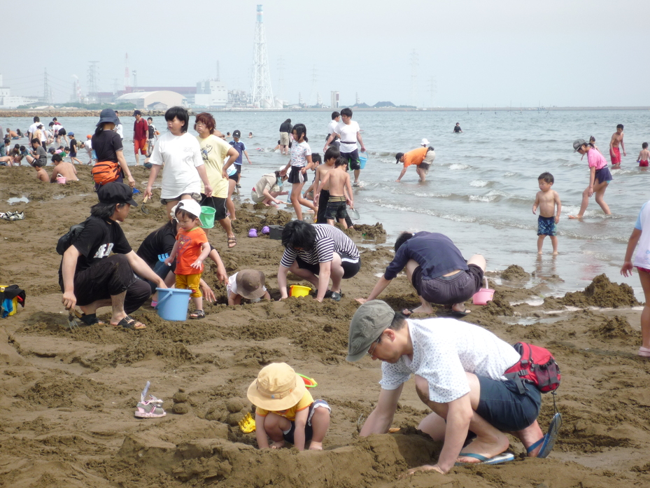 的形海水浴場潮干狩場 観光スポット 兵庫県公式観光サイト Hyogo ナビ ひょうごツーリズムガイド