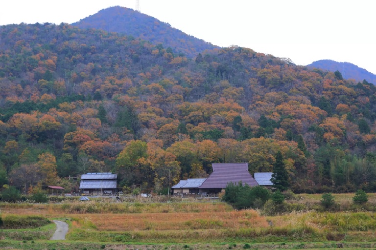 【兵庫・丹波】陶芸の隠れ里「立杭」に訪ねてみよう！ 地元ならではの交流や散策を楽しめる旅