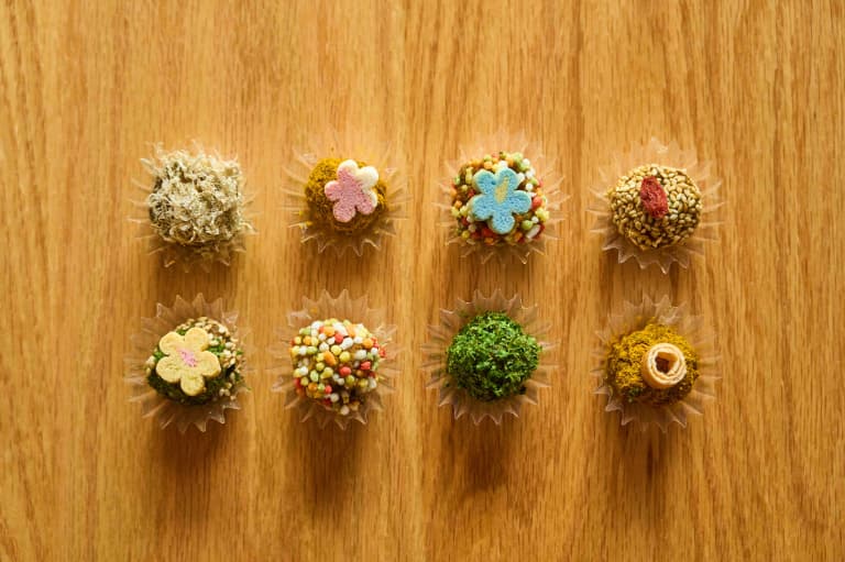 From the Seto Inland Sea to Harima—Salt, Hishio, and a Story of Fermentation