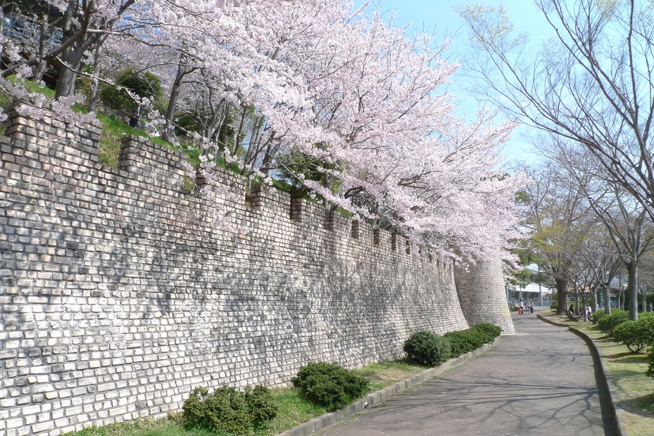 太子山公園 観光スポット 兵庫県公式観光サイト Hyogo ナビ ひょうごツーリズムガイド