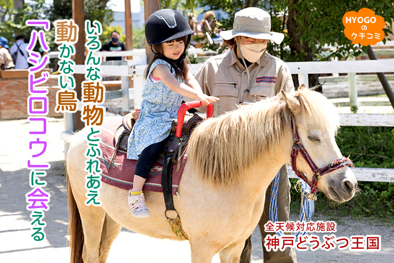 いろんな動物とふれあえ、動かない鳥「ハシビロコウ」に会える！全天候対応施設「神戸どうぶつ王国」