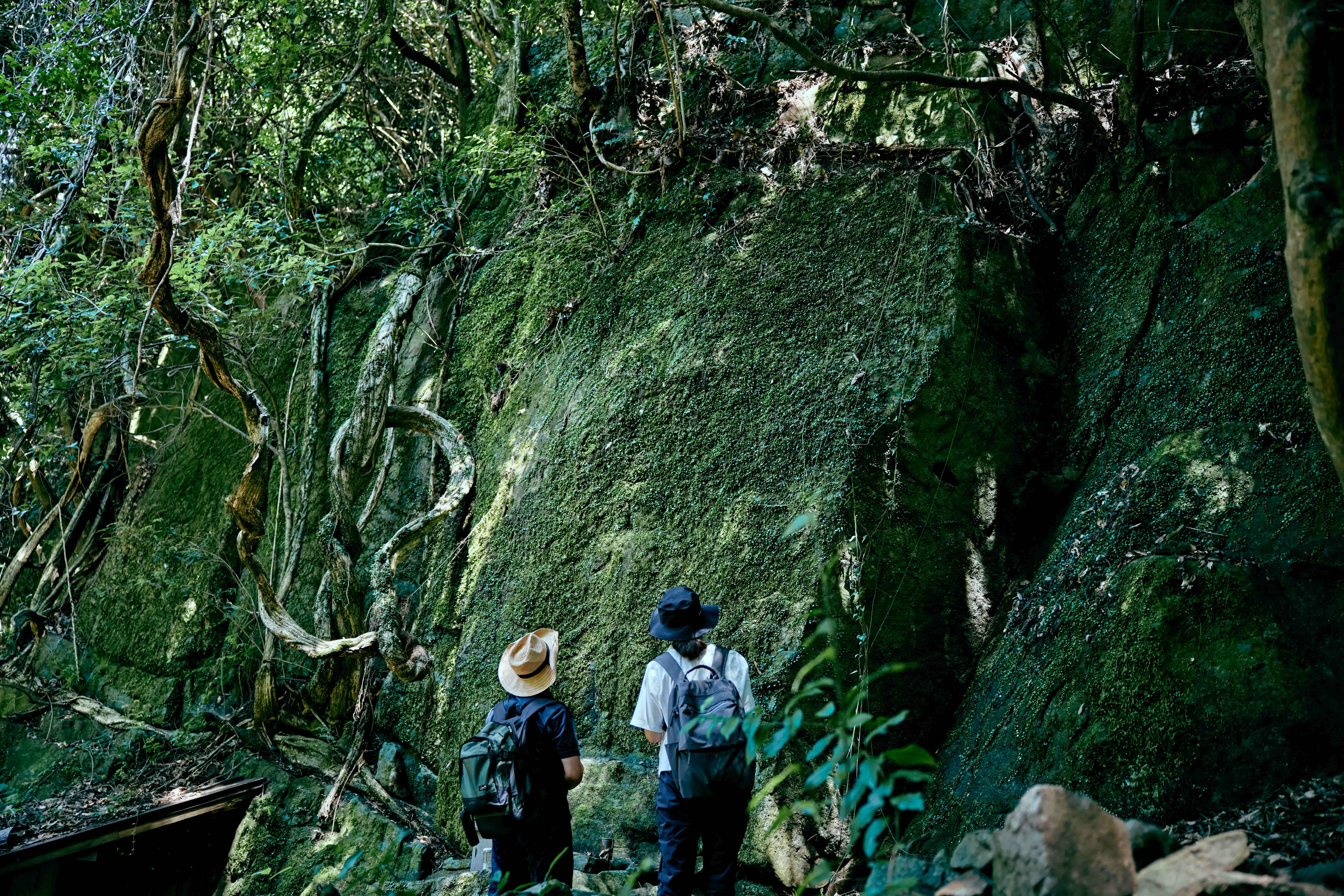 神戸と淡路島の自然でリトリート