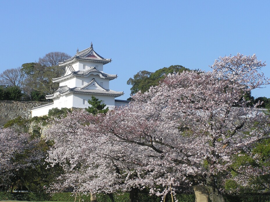 兵庫県立明石公園  観光スポット  兵庫県公式観光サイト HYOGO!ナビ 