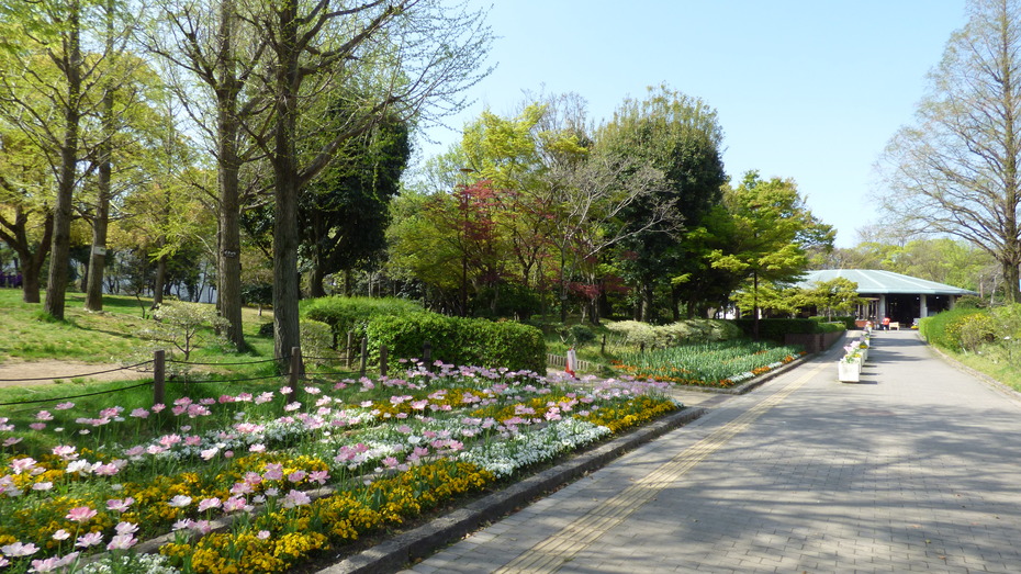 上坂部西公園 尼崎市都市緑化植物園 観光スポット 兵庫県公式観光サイト Hyogo ナビ ひょうごツーリズムガイド