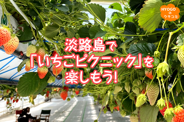 淡路島で「いちごピクニック」を楽しもう！【GREENARIUM awajishima