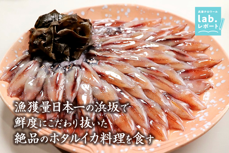 漁獲量日本一の浜坂で鮮度にこだわり抜いた絶品のホタルイカ料理を食す -兵庫テロワール旅-