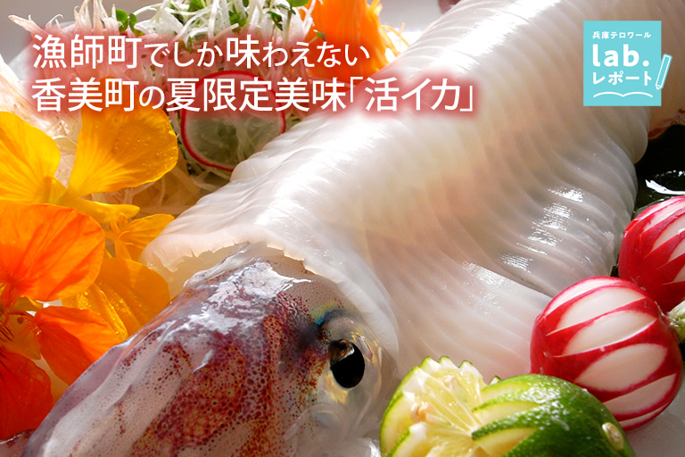 漁師町でしか味わえない香美町の夏限定美味「活イカ」-兵庫テロワール旅-