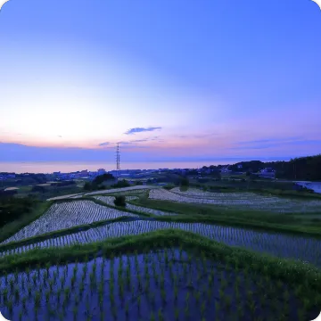 石田の棚田
