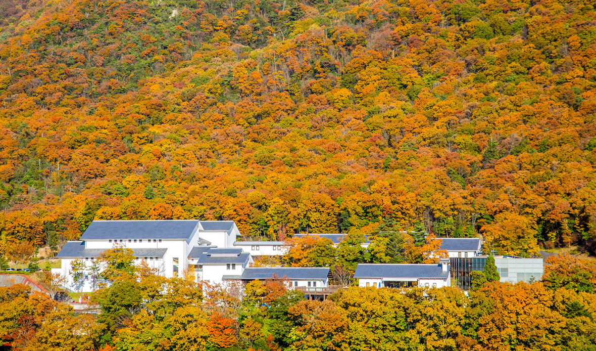 兵庫陶芸美術館