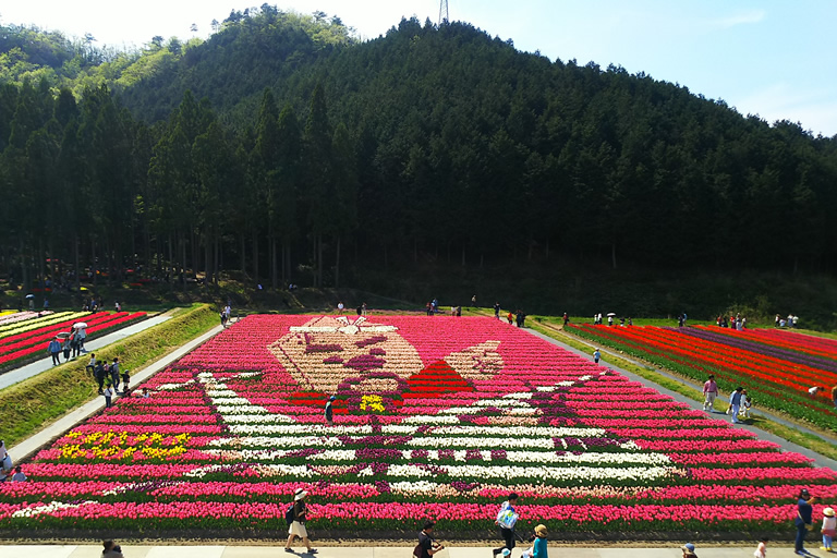 日本最大級 100万本のチューリップの花園 豊岡市のたんとう花公園 口コミ 兵庫県公式観光サイト Hyogo ナビ ひょうごツーリズムガイド