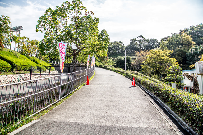 広大な土地に1万本のコスモスの絨毯 神戸総合運動公園 コスモスの丘 口コミ 兵庫県公式観光サイト Hyogo ナビ ひょうごツーリズムガイド