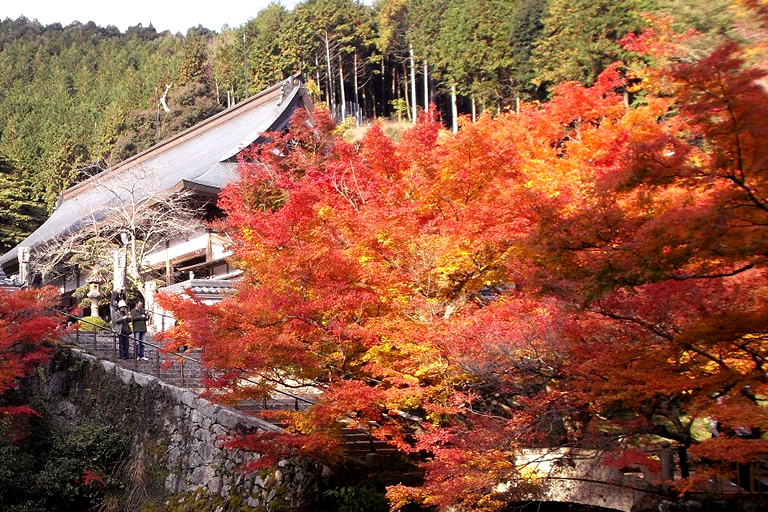 丹波紅葉三山ドライブめぐりで 心もお腹も幸せな休日を 口コミ 兵庫県公式観光サイト Hyogo ナビ ひょうごツーリズムガイド