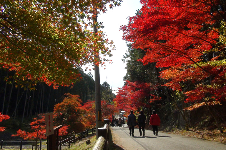 丹波紅葉三山ドライブめぐりで 心もお腹も幸せな休日を 口コミ 公式 兵庫県観光サイト Hyogo ナビ 知っておきたい観光情報が盛りだくさん