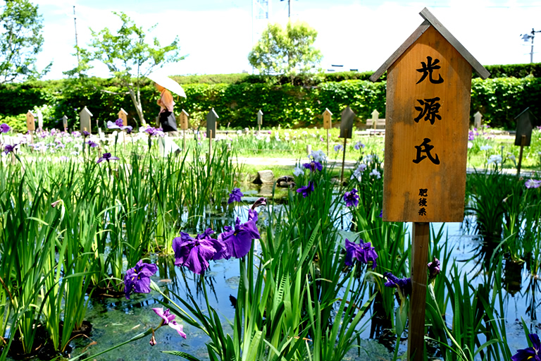 花を愛でながら優雅な時間が過ごせる 神戸の花の名所 須磨離宮公園 口コミ 兵庫県公式観光サイト Hyogo ナビ ひょうごツーリズムガイド