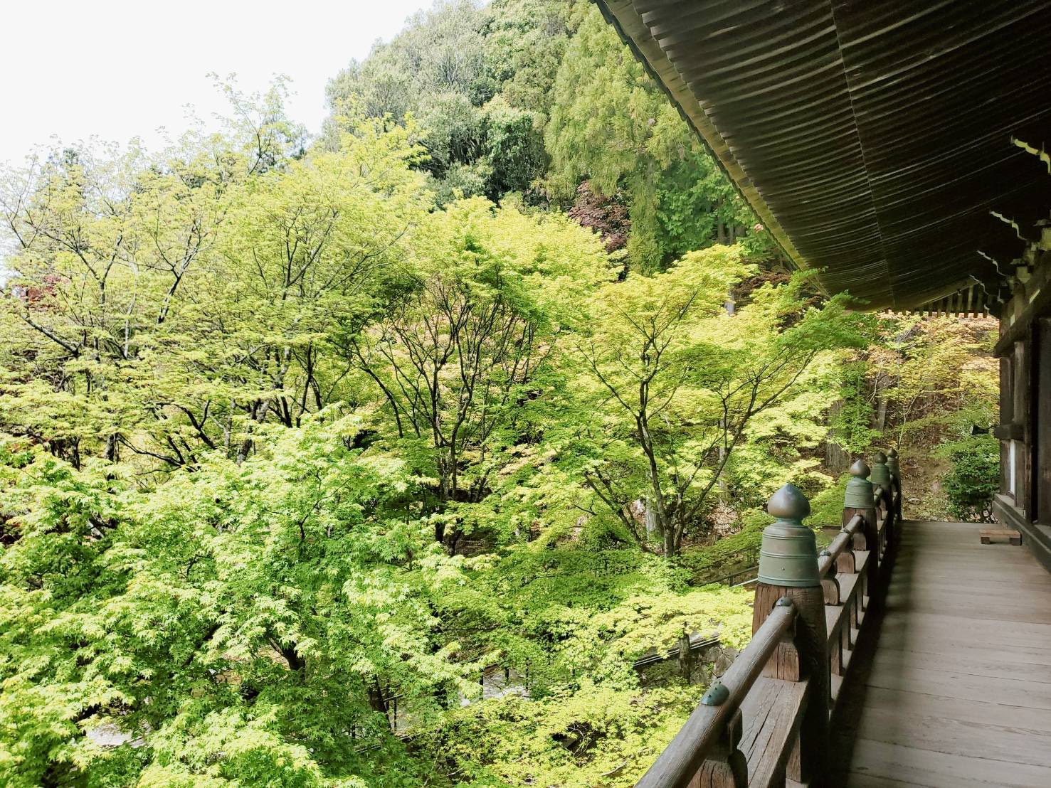 青もみじが映える静かな山寺と旬のフルーツたっぷりのスイーツ