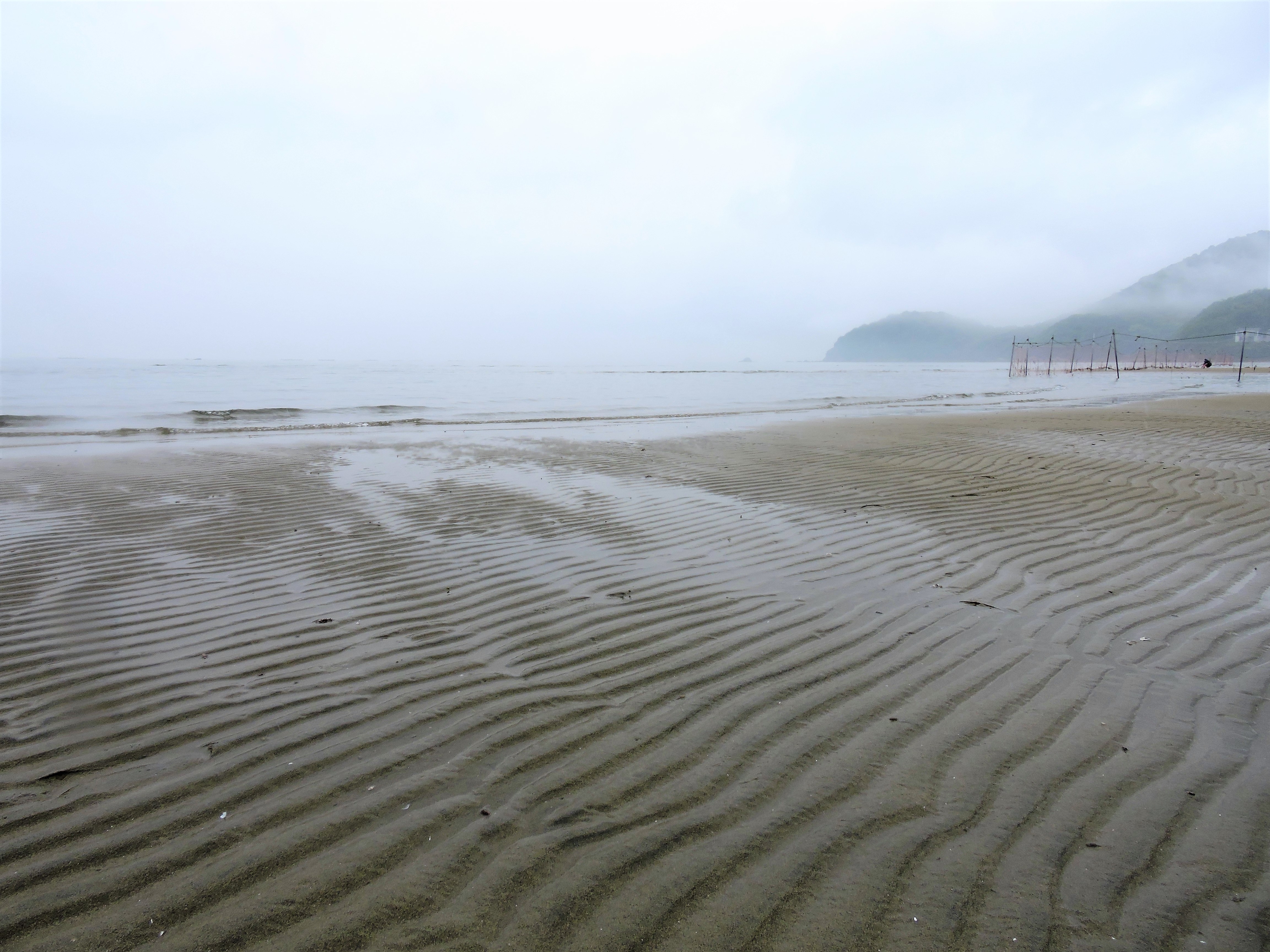 近畿随一の遠浅の海岸 瀬戸内海国立公園新舞子で潮干狩り 口コミ 公式 兵庫県観光サイト Hyogo ナビ 知っておきたい観光情報が盛りだくさん