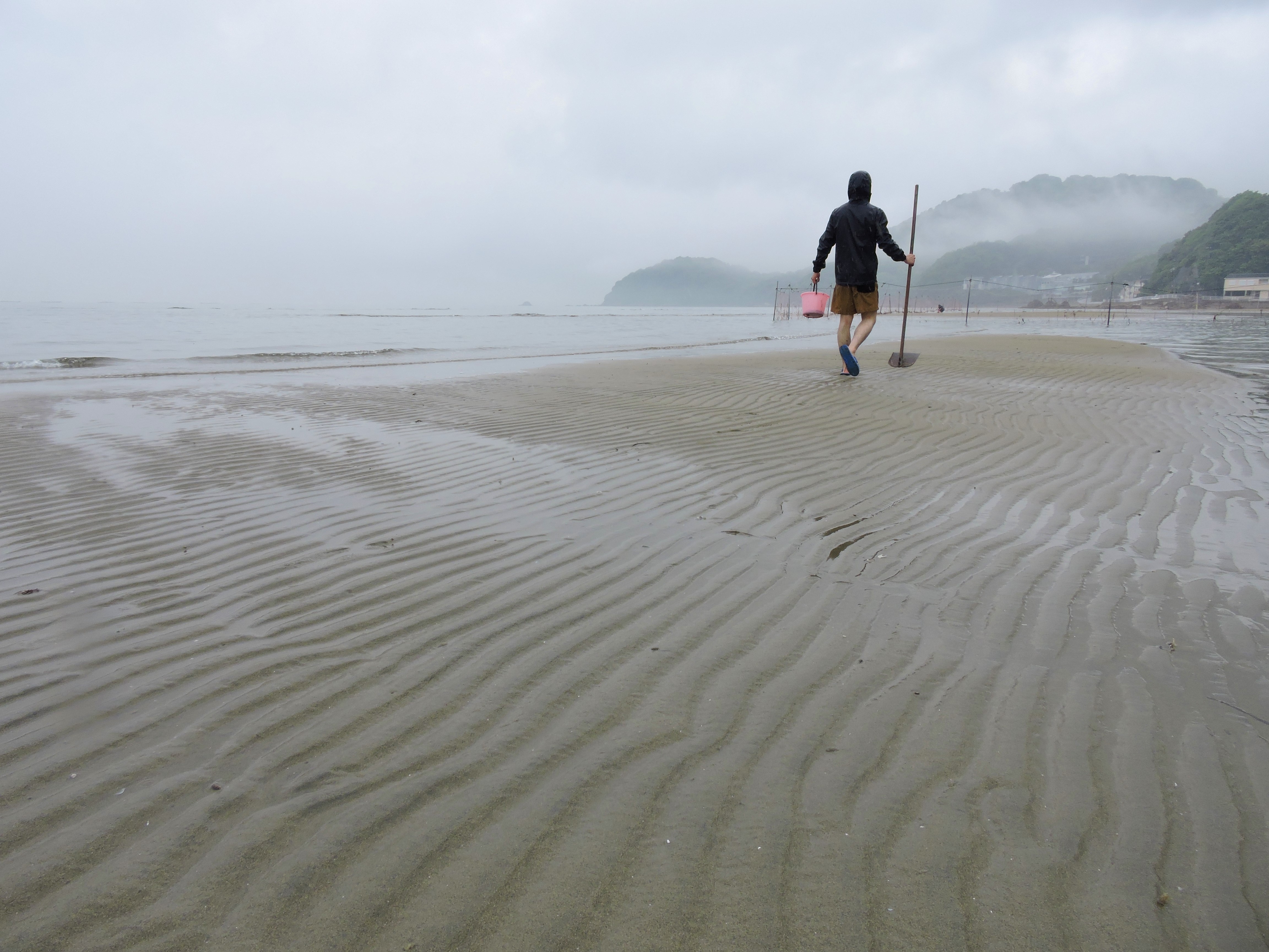 近畿随一の遠浅の海岸 瀬戸内海国立公園新舞子で潮干狩り 口コミ 公式 兵庫県観光サイト Hyogo ナビ 知っておきたい観光情報が盛りだくさん