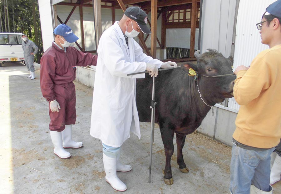 すべては但馬牛と農家のために 県民の宝を次世代へつなぐ Gourmet 兵庫テロワール旅