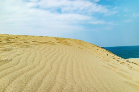 鳥取砂丘のさざ波模様の「風紋」
