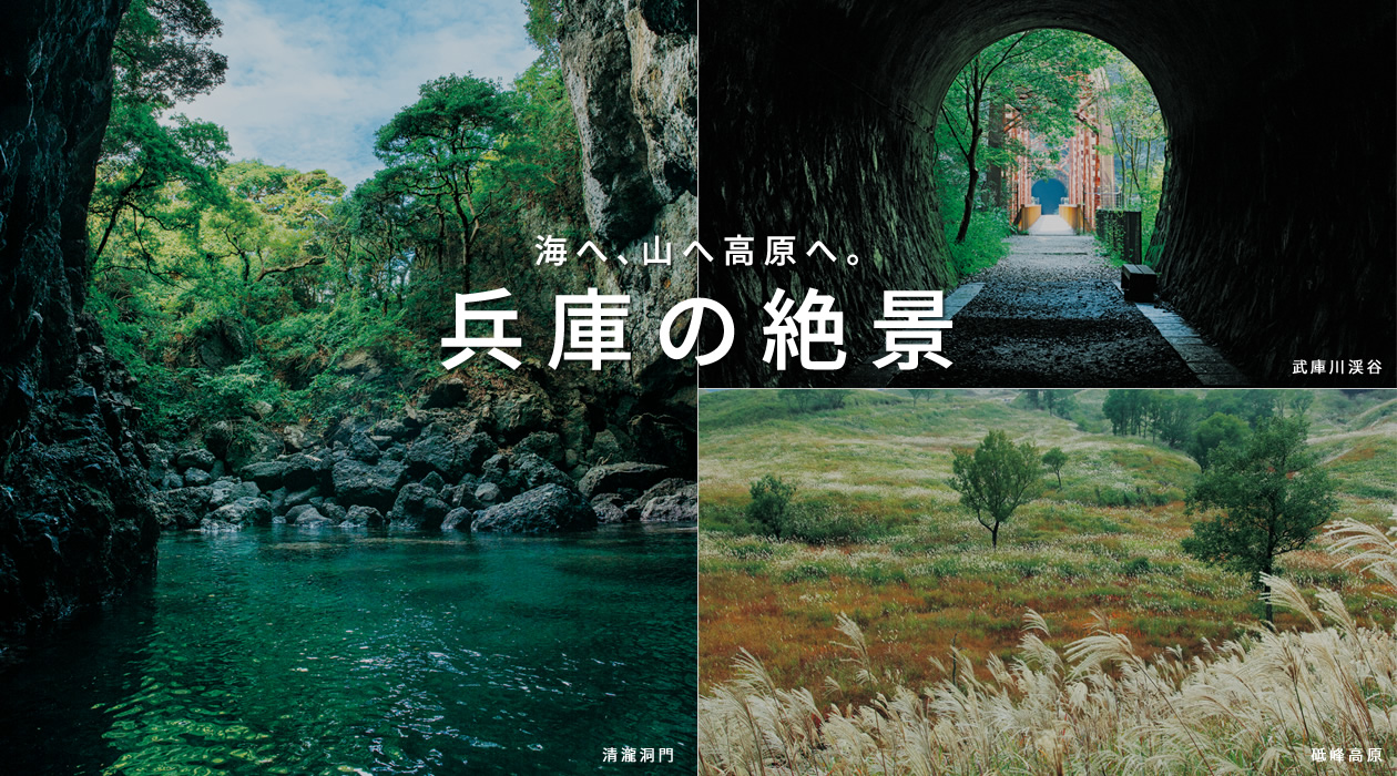 兵庫県公式観光サイト Hyogo ナビ ひょうごツーリズムガイド