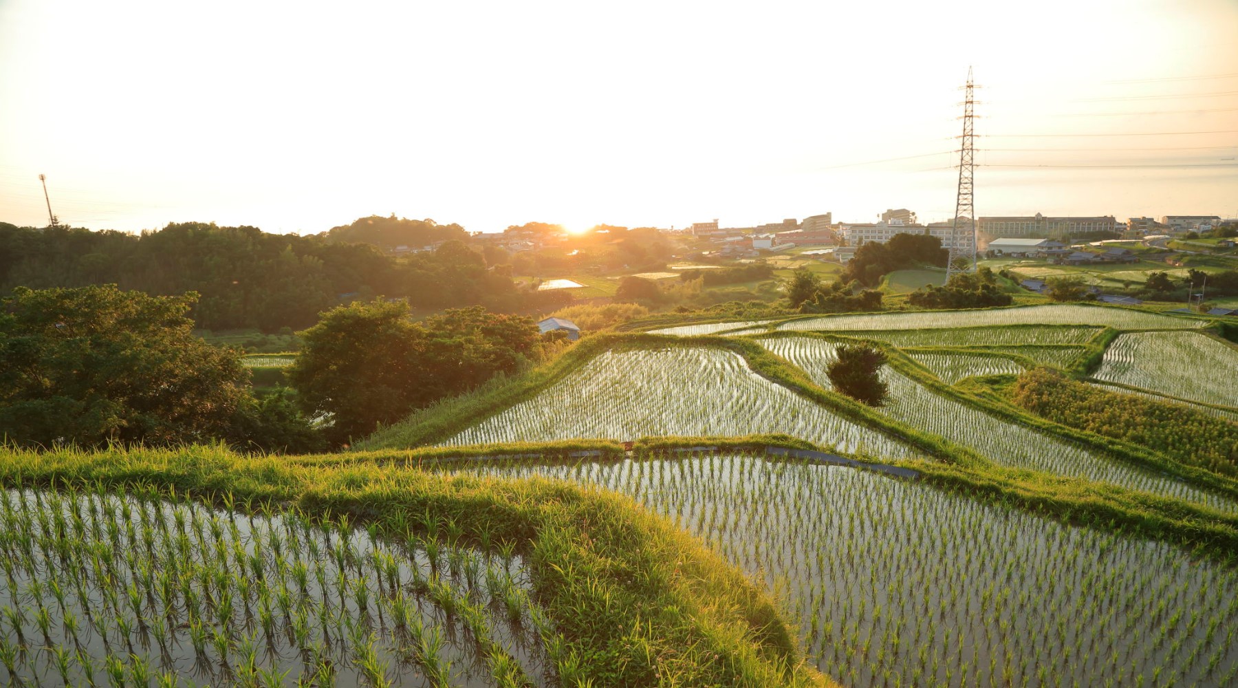 石田の棚田