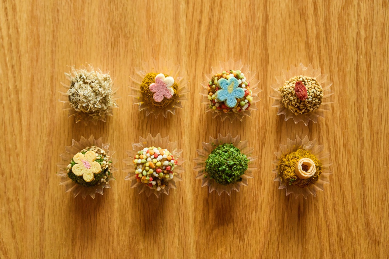 From the Seto Inland Sea to Harima—Salt, Hishio, and a Story of Fermentation