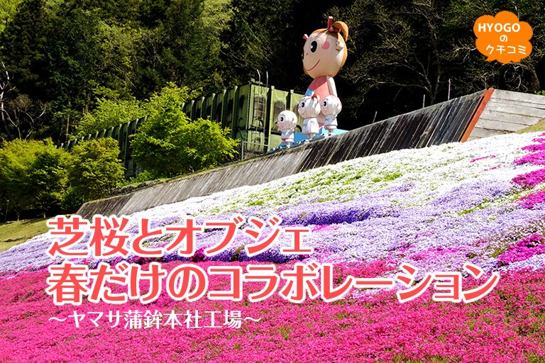 芝桜とオブジェ 春だけのコラボレーション~ヤマサ蒲鉾本社工場~