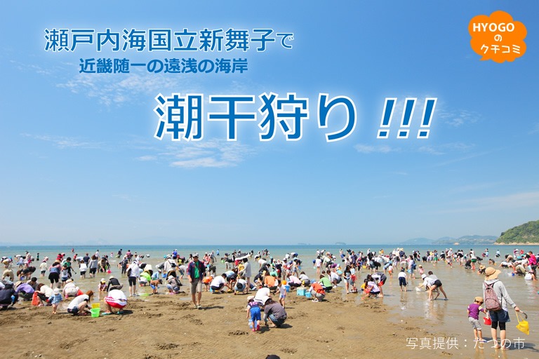 近畿随一の遠浅の海岸 瀬戸内海国立公園新舞子で潮干狩り!