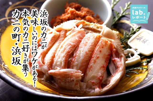 浜坂のカニが美味しいのにはワケがある! 本気のカニ好きが集う「カニの町・浜坂」。日本で初となる「かにソムリエ」も。-兵庫テロワール旅-