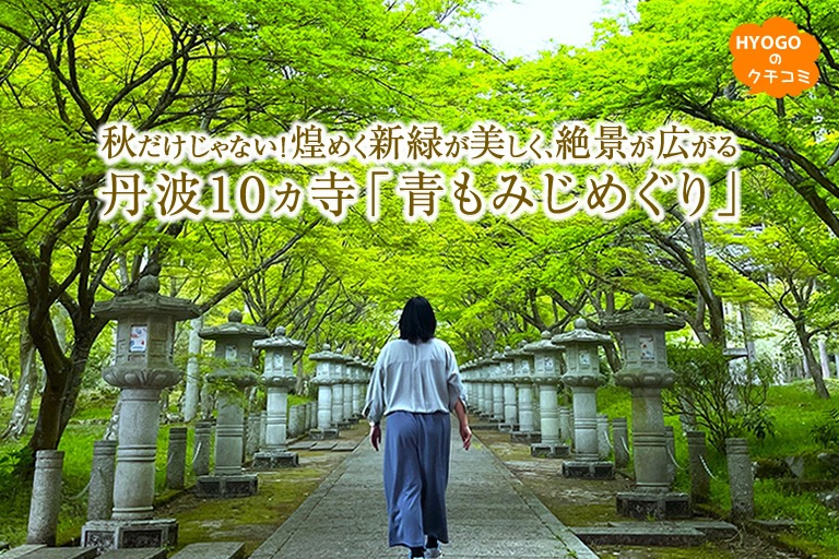 秋だけじゃない!煌めく新緑が美しく、絶景が広がる 丹波10ヵ寺「青もみじめぐり」