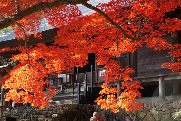 混雑回避!紅葉も秋の味覚も堪能できる 丹波篠山「もみじ三山めぐり」