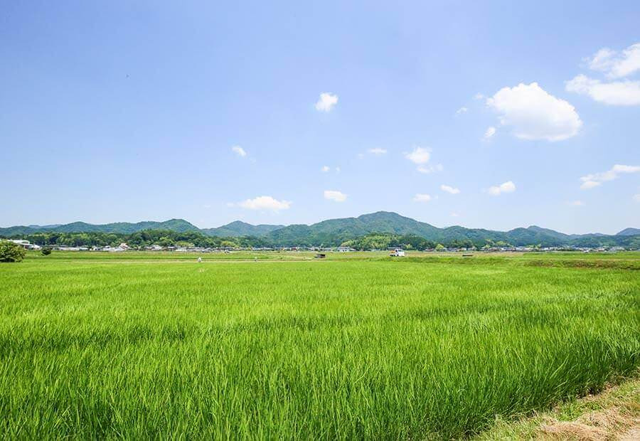 美食家も唸る〝食の宝庫・兵庫〟