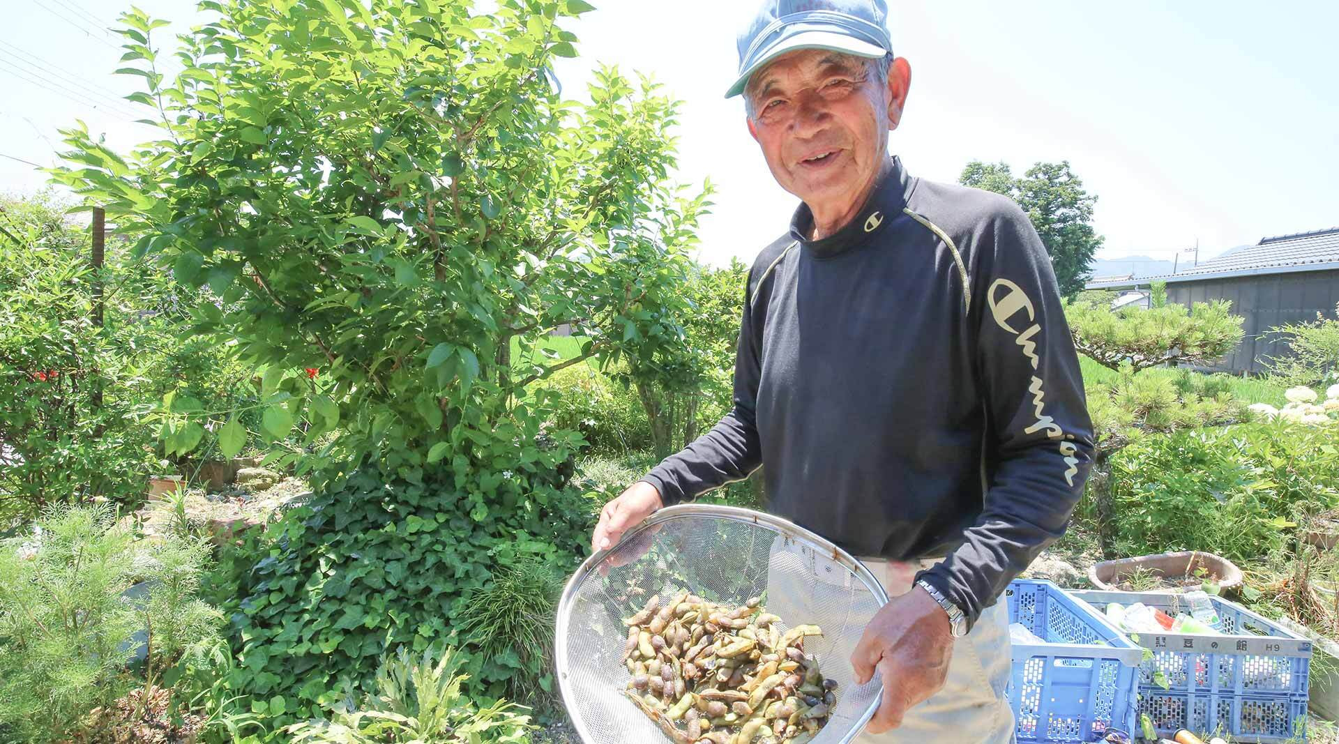 300年にわたる食文化を次世代につなぐ「丹波黒」栽培(丹波篠山市 - 丹波黒)